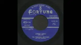 The Terrigan Brothers - Little Love - Rock & Roll 45
