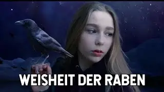 Der Rabe als Botschafter des Jenseits, steht für Veränderung und Wechsel - Visuals inklusive 🔥