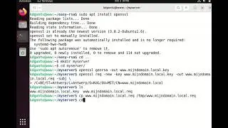 Howto Generate a key for your server and sign it by your own CA