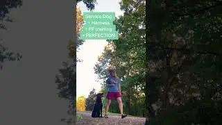 #duet AMAZING #servicedog #servicedoglife