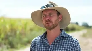 Sugarcane growers teaming up with researchers as part of the SIP2 program
