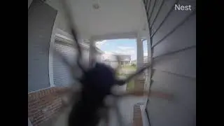 The MalaMaker Haunt - Caught on Camera - Spider