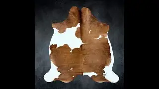 Texas Cowhide Rugs - Authentic Western Elegance at Rodeo Cowhide Rugs