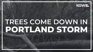Fallen trees around Portland leave families with thousands of dollars in damages