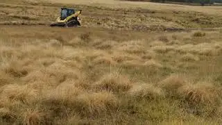 Plug & Pond Project on VCNP built by Keystone Restoration Ecology