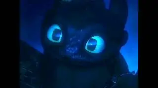 Toothless And Light Fury