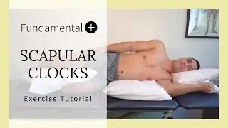 Fundamental + : Scapular Clock Tutorial