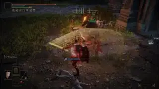 Elden Ring PvP | RL80 Quality | RL25 Frenzy Zealot