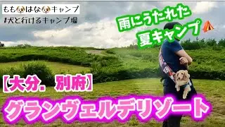 【夏キャンプ】２度目のキャンプは別府グランヴェルデリゾート..  #185【雨キャン】【犬と行けるキャンプ場】【大分別府】