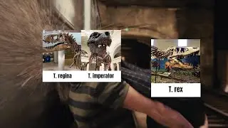 Good Riddance to Tyrannosaurus regina and imperator