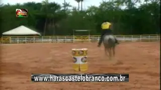 MONTADOS
