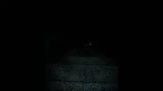 Scp 087 c entity encountered
