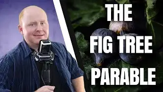 The Fig Tree Parable Explained!