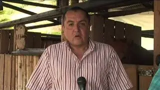 Hazlo t&uacute; mismo - C&oacute;mo montar un caballo de forma correcta
