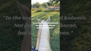 Find Your Balance #balance #selfcare #balanceyourlife #mindfulness #horseriding