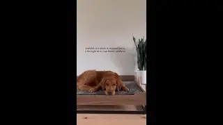 TailZzz Milo Wooden Pet Bed
