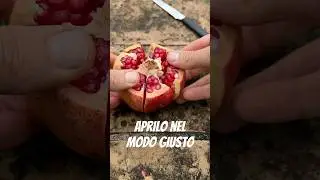 Come aprire un melograno