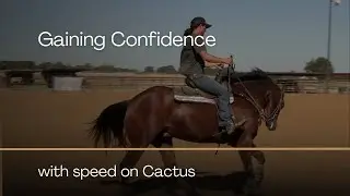 Gaining Confidence with Speed on Cactus