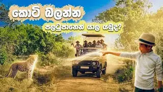 Yala National Park| පලටුපාන Block1එකෙන් යන්න කලින් බලන්න|Yala |Sri Lanka#nationalpark