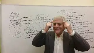 Hoy se PERDIÓ la DISCIPLINA, por eso nos va como nos va