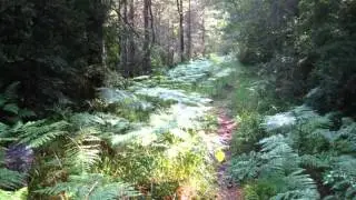 ULTRA ESTELS DEL SUD 2015 TRAIL ROQUETES