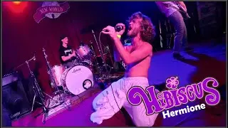 Hibiscus Bandd - Hermione music video at New World Tampa