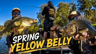 Early Spring Yellowbelly Fishing + Exciting Announcement | Murray River