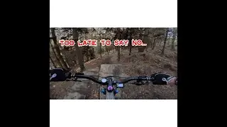 Boneyard Descent | Full Run | Forest of Dean | Orbea Rise H15