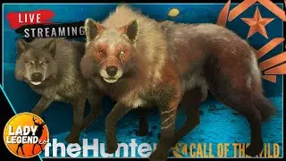 4,771 Kills into the 2nd GREAT ONE WOLF GRIND - LIVE!!!