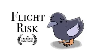 bird with no insurance 