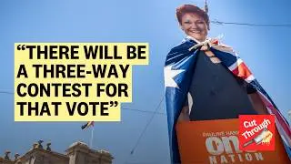 How seriously should we be taking One Nation?