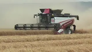 Rostselmash Torum 770 rotary combine with Zuidberg tracks