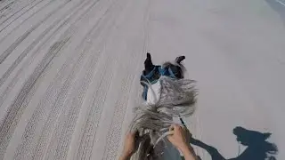 LOGES BEACH GALLOP