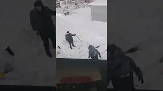 мазада