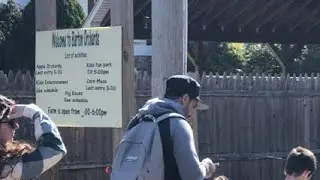 Barton Orchards, NY