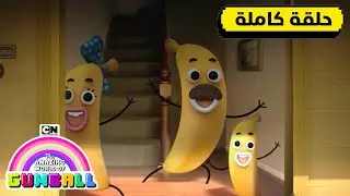 حلقة كتاب داروين المدرسي السنوي؛ بانانا جو | غامبول | كرتون نتورك