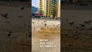 Al nahda 2 duabi | old city 🌆 city vibe #alnahdasharjah