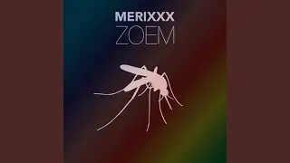 Zoem