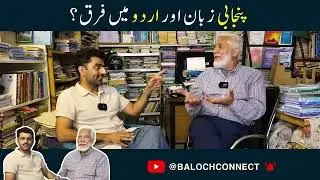Punjabi vs Urdu