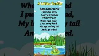 A Little Turtle I English poem I #english #poem