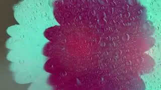 Bruno Bavota ft. Laura Masotto - Nostalgia (Official video)