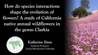 How do species interactions shape the evolution of flowers? - Katherine Eisen - Torrey Talks