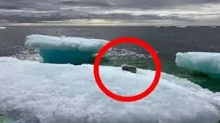 На айсберге в море рыбаки увидели нечто невероятное. Посмотрите кто это
