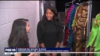 Fox 10 Stephanie Olmo and Cirque du Soleil's OVO for 