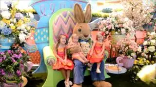 Easter Bunny Meet and Greet and Pictures at the Mall at Millenia in Orlando