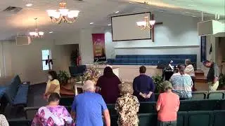 Trinity Way Live Stream