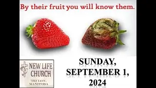 By THEIR FRUIT You Will KNOW Them