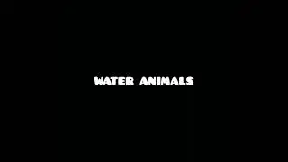 Aquatic Animals | Water Animals
