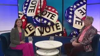 Mid-Michigan Matters: Voting on Nov. 4
