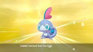 Shiny Sobble in Pokemon Shield! (Masuda Method)